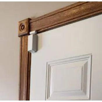 Wired Door